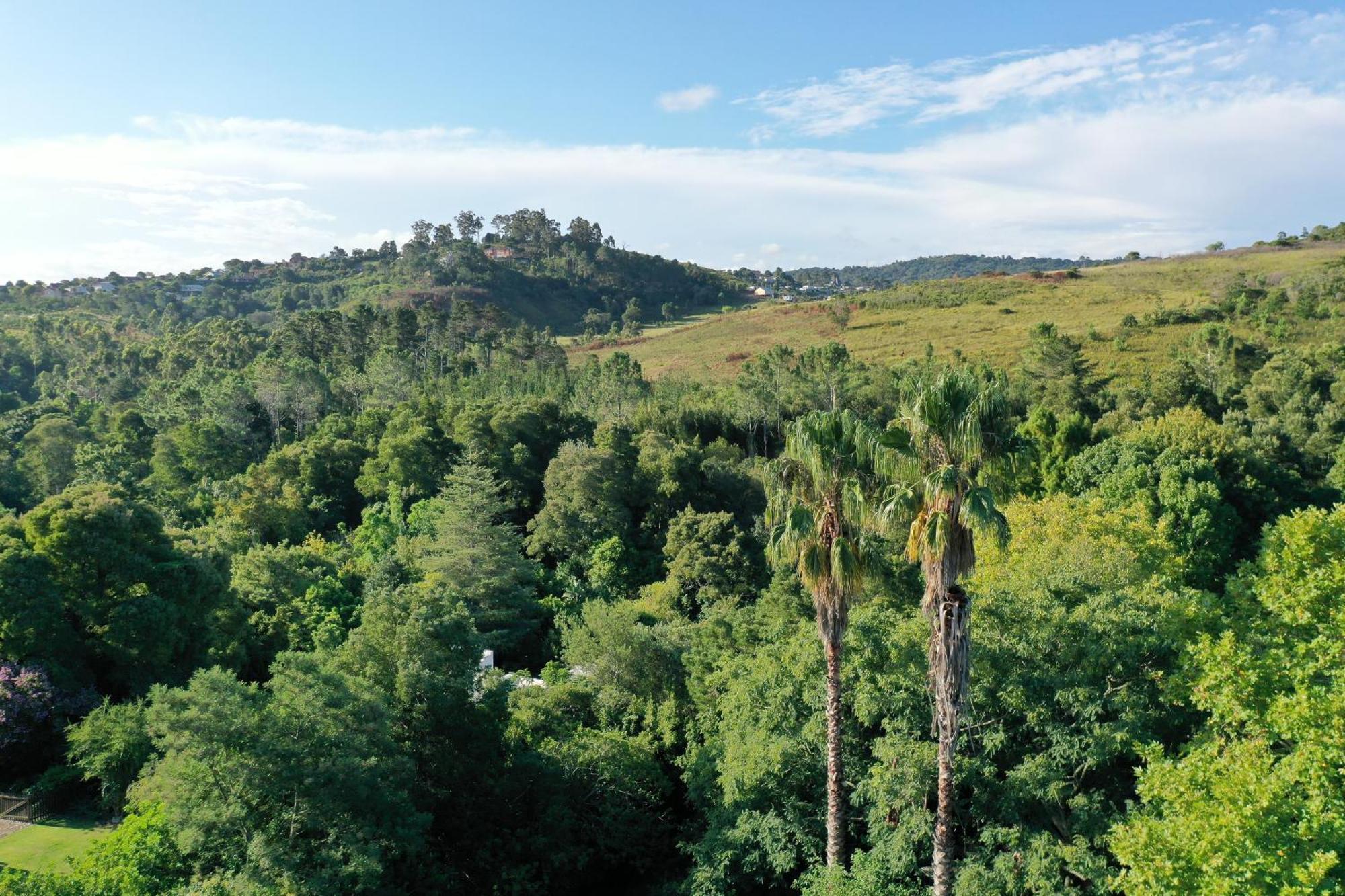 Bwhale Guest House B&B Knysna Buitenkant foto