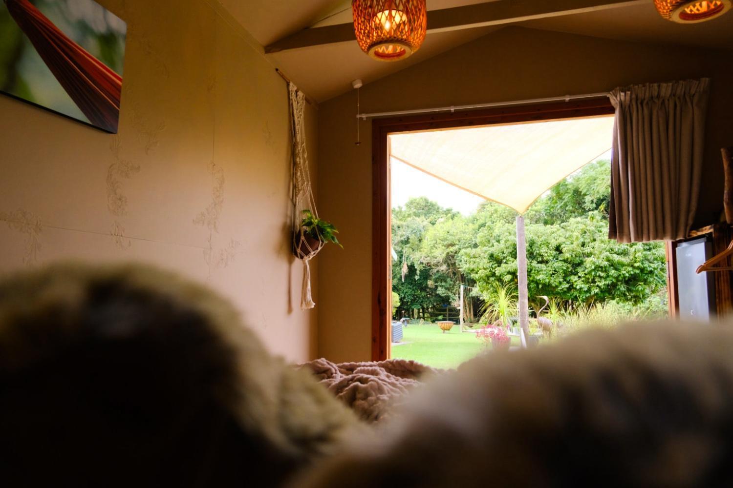 Bwhale Guest House B&B Knysna Buitenkant foto
